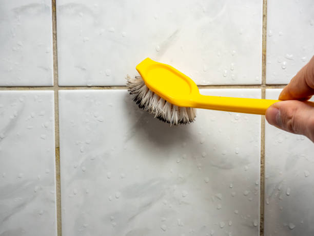 Best Residential Mold Removal  in Crooksville, OH