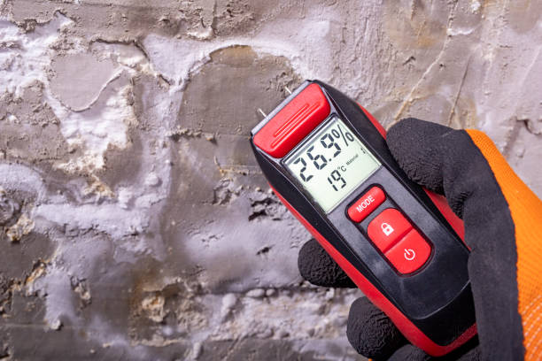 Best Mold Remediation  in Crooksville, OH